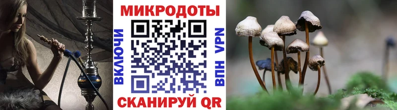 Псилоцибиновые грибы Magic Shrooms  где можно купить   Джанкой 